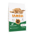 Фото #1 товара IAMS Advanced nutrition adult lamb 10 kg cat food