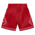 Фото #2 товара MITCHELL & NESS NBA MONOCHROME SWINGMAN SHORTS CHICAGO BULLS 2008