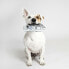Фото #6 товара Игрушка для собак Star Wars Серый 100 % полиэстер