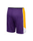 ფოტო #3 პროდუქტის Men's Purple LSU Tigers Haller Shorts