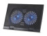 Фото #1 товара Conceptronic THANA Notebook Cooling Pad - Fits up to 17" - 2-Fan - 43.2 cm (17") - 2 pc(s) - 12.5 cm - 1000 RPM - Black - Iron - Plastic