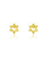 Yellow Gold Tone Star of David Studs Earrings