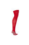 Фото #2 товара 2020-2021 France Nike Home Socks (Red)