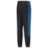 PUMA SELECT TSF sweat pants