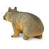 Фото #3 товара Фигурка Safari Ltd Wombat Figure Wild Safari (Дикая Сафари)