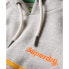 SUPERDRY Rainbow Stripe Logo hoodie