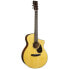 Martin Guitars SC-18E