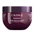 Фото #1 товара Vinosculpt Firming Body Cream (Lift & Firm Body Cream) 250 ml