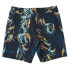 BILLABONG Sundays Pro Swimming Shorts