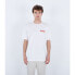 HURLEY Everyday Throwback short sleeve T-shirt