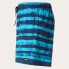 Фото #5 товара OAKLEY APPAREL Blur Stripes RC 16´´ Swimming Shorts