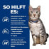 Hill's Prescription Diet Metabolic + Urinary Stress Feline 1,5 kg