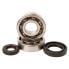 HOTRODS Yamaha 1999-2000 YZ250 Crank Shaft Bearing&Seal Kit