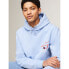 TOMMY JEANS Reg 3D Street Tj Hood Ext hoodie