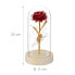 Фото #9 товара Ewige Rose im Glas