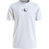 CALVIN KLEIN JEANS Monologo Regular short sleeve T-shirt