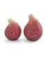 Nature's Bounty Figural Salt and Pepper, Set of 2