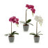 Фото #3 товара Декоративное растение Орхидея Пластик 13 x 39 x 22 cm (6 штук)