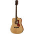 Guild D-240E Westerly Archback