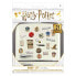 Фото #1 товара HARRY POTTER Set Imanes Sticker