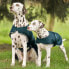 WALDHAUSEN Rain Dog Jacket