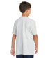 ფოტო #2 პროდუქტის Big Boys Short-Sleeve Lil Stripe Graphic T-Shirt