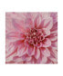 Фото #1 товара Alonzo Saunders Wall Flower VII Canvas Art - 20" x 25"