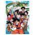 EDUCA BORRAS Dragon Ball Z 1000 Pieces