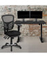 Фото #3 товара 48" Wide Electric Adjustable Standing Desk & Ergonomic Office Chair