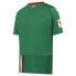 Фото #2 товара PUMA Alaves Away Jersey short sleeve T-shirt