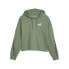 Фото #1 товара PUMA Ess Tape Fl hoodie