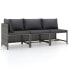 Фото #1 товара Garten-Sofa-Set (3-teilig) 3010471-13