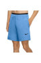Фото #1 товара Шорты мужские Nike Men's Shorts Pro Rep 2.0 Cu4991-462
