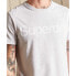 SUPERDRY Core Logo short sleeve T-shirt