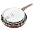 Фото #3 товара Gold Tone TS-250 Tenor Banjo w/Case