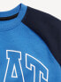 Dynamic Fleece Color Block Graphic Sweatshirt for Boys