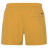PROTEST Yessine Swimming Shorts