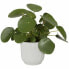 Горшок для цветов Elho Plant pot Circular White 22 cm