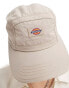 Фото #2 товара Dickies fincastle cap in sand