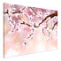 Фото #6 товара Wandbild Cherry Blossoms