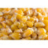 MIVARDI Vanilla 2.5kg Corn