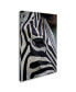 Фото #2 товара Robert Harding Picture Library 'Zebras' Canvas Art - 19" x 12" x 2"