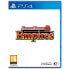 PLAYSTATION GAMES PS4 Dinasty Warriors 9 Empires