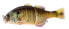 Фото #1 товара Jackall GANTAREL Hard Swim Baits (JGANT-RTB) Fishing