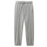 Фото #1 товара DICKIES Mapleton Joggers