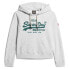 Фото #1 товара SUPERDRY Embroidered Vl Graphic hoodie