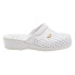 Clogs Scholl Clog Backguard White