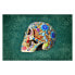 Фото #1 товара Bild Colorful Skull