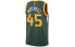 Кроссовки Nike Earned Edition NBA SW 45 CD7015-323