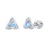 AVA Silver Earrings with Blue Brilliance Zirconia SILVEGOB70497BDSLB